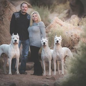 Meet your Posher, Misty